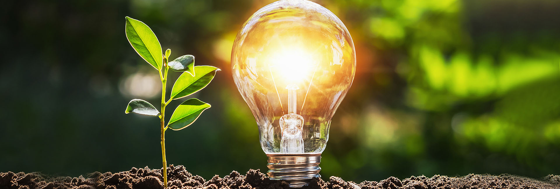 Energia sostenibile · Danese Business