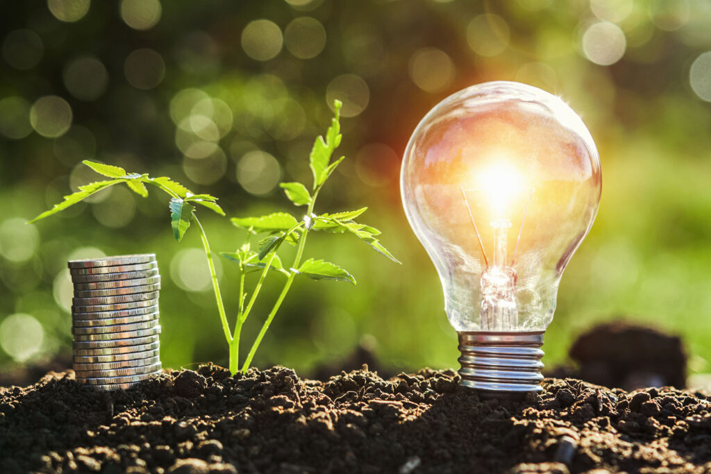 Gli sgravi fiscali e gli ecobonus per l’energia elettrica